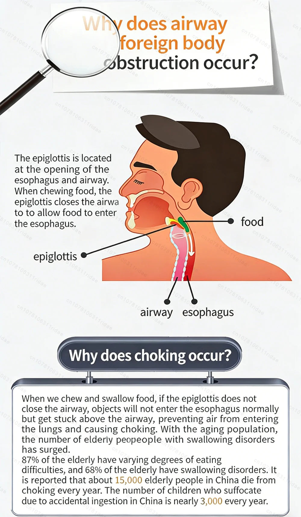 zoechic™ Face Support Brace